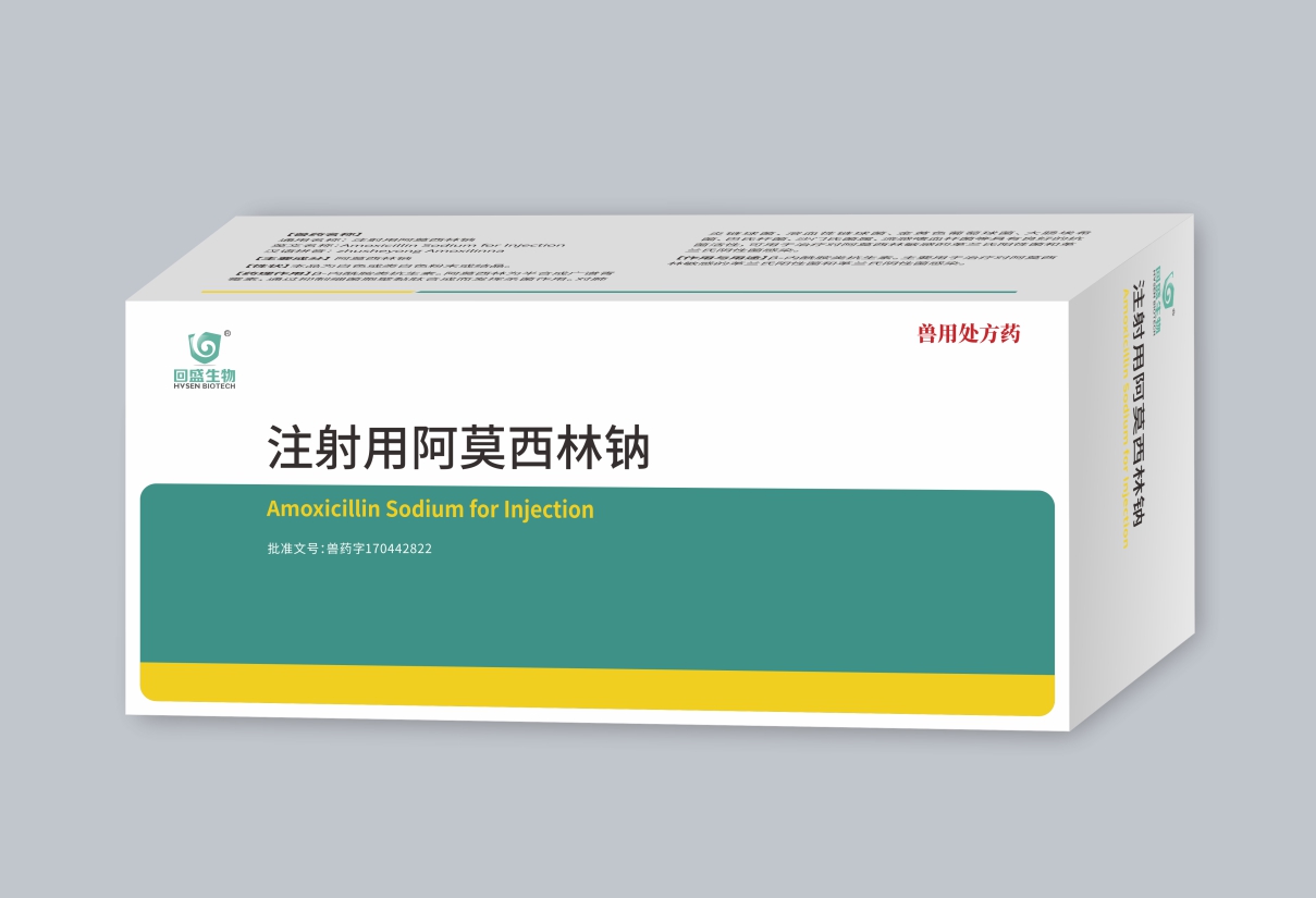 Natri Amoxicillin tiêm truyền